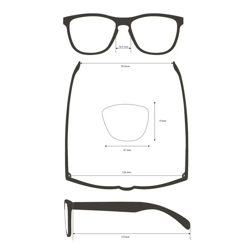 Load image into Gallery viewer, Z is for Zebra – Sunnies
